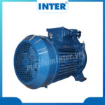 Máy bơm chữa cháy điện 30KW INTER CM80-200B